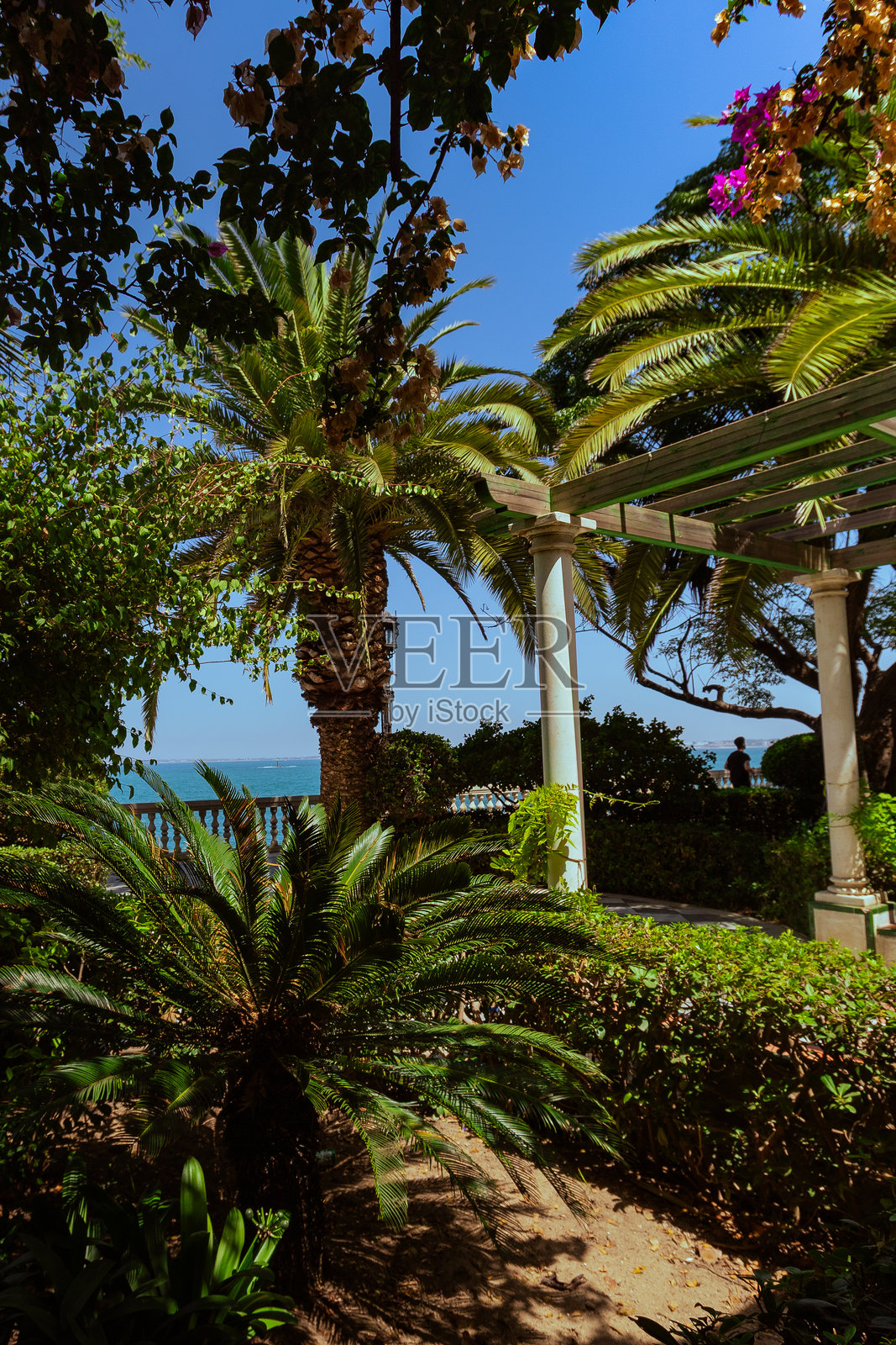 夏季加的斯海滨大道和公园景观照片摄影图片