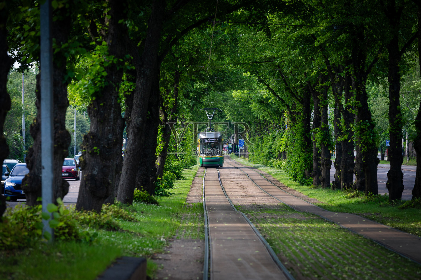 电车穿梭于树木形成的隧道中照片摄影图片