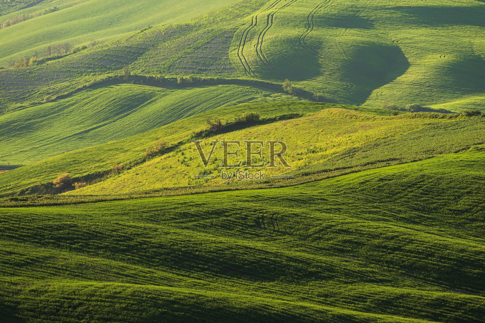 意大利托斯卡纳丘陵的春日乡村风光照片摄影图片