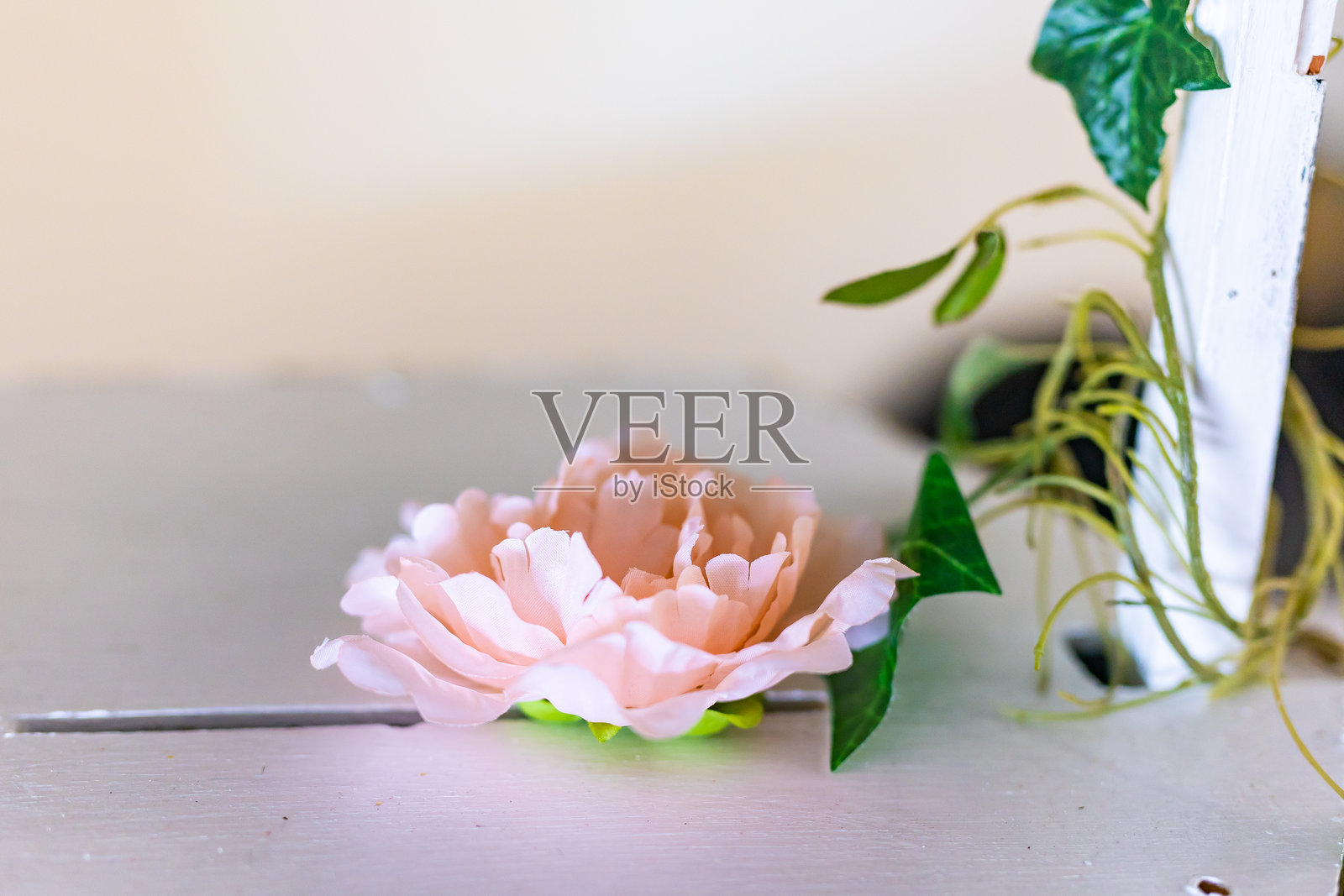 印度传统婚礼的室内布置与装饰照片摄影图片