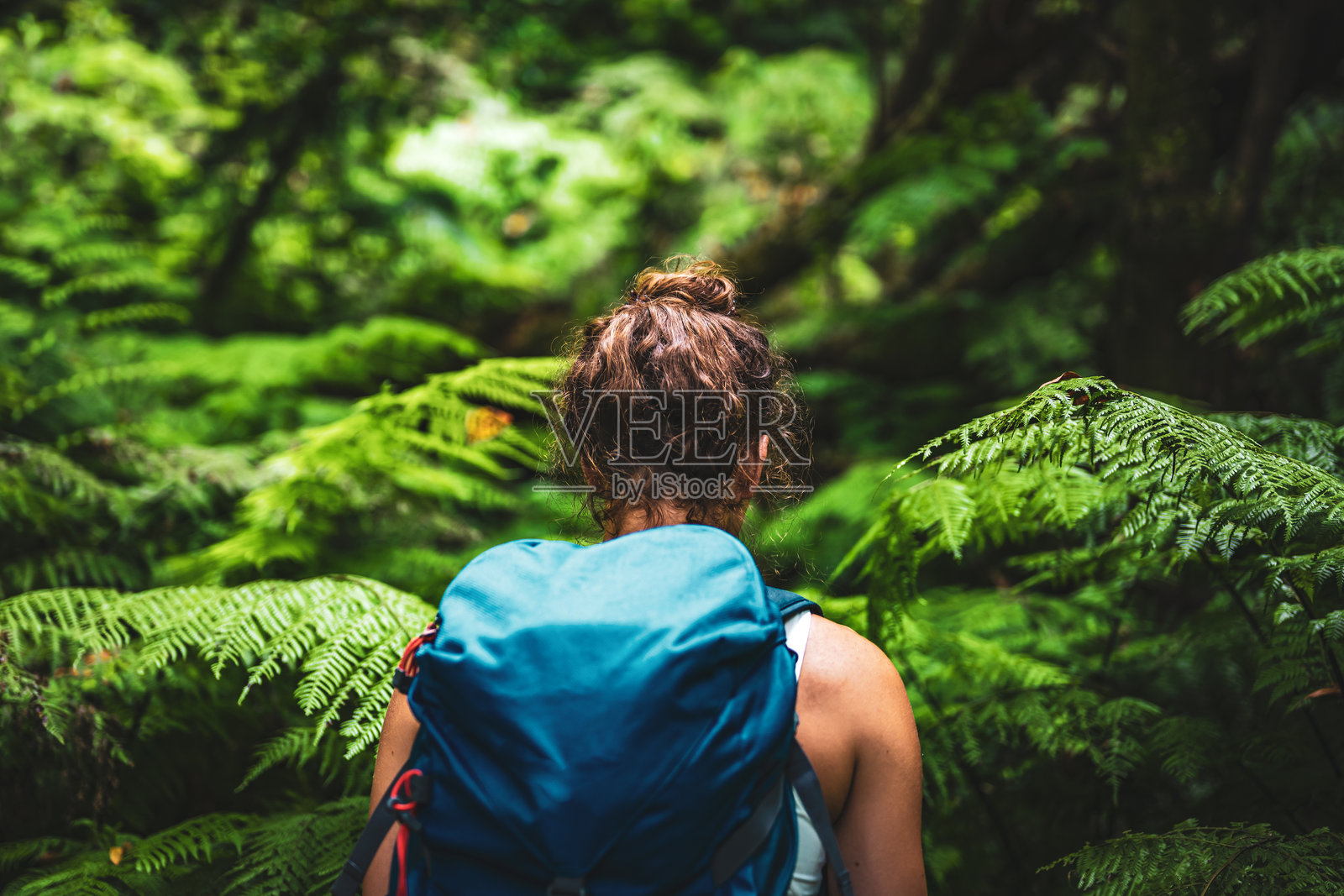 一位游客背着背包，从后面看，走在雨林中蕨类植物丛生的自然丛林小径上。这里是葡萄牙马德拉岛的圣维森特。照片摄影图片