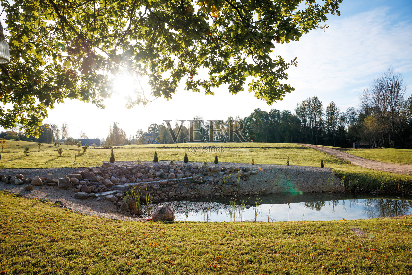 阳光明媚的草地上，池塘、岩石和树木照片摄影图片