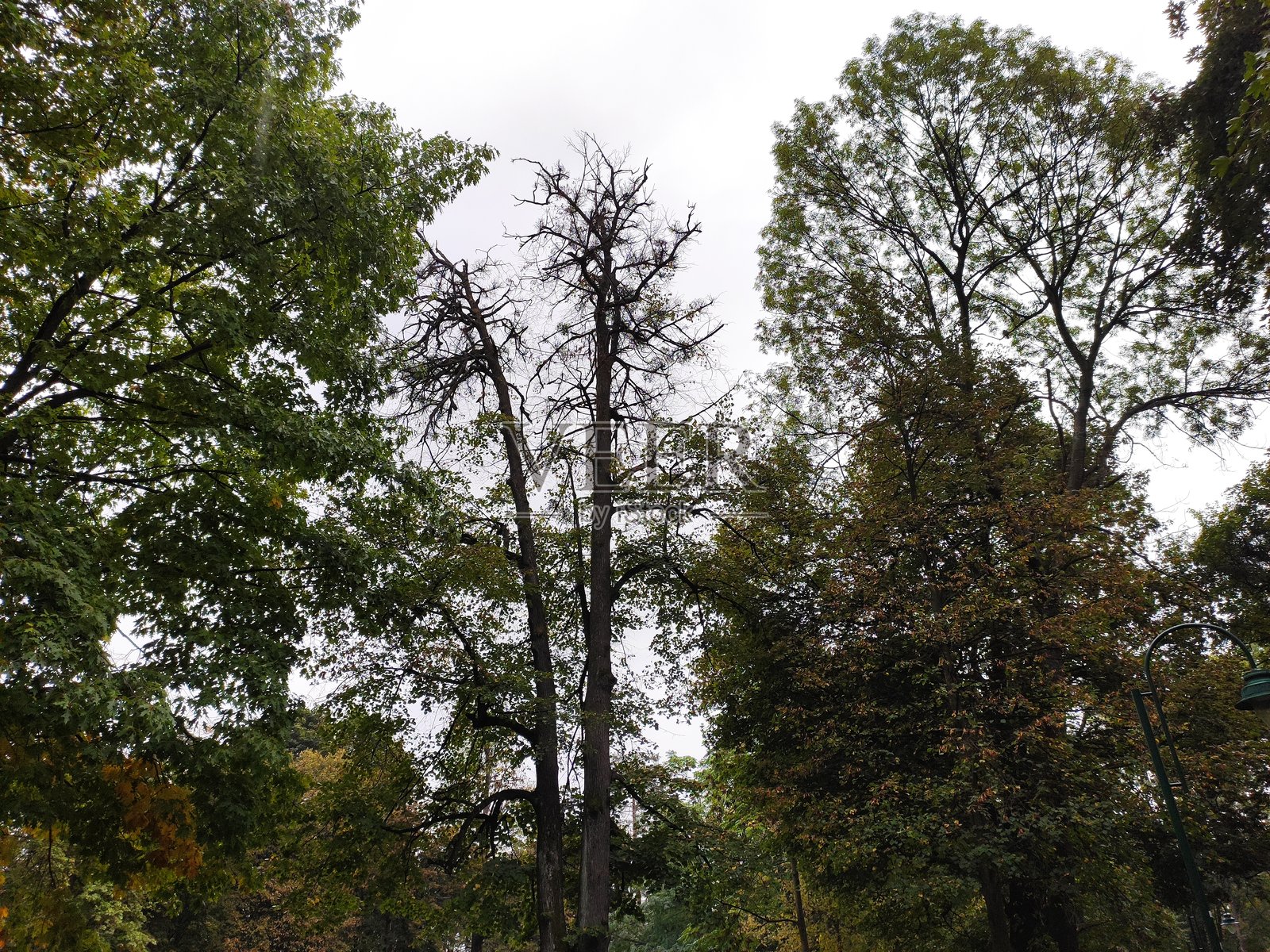 秋季美丽自然风光摄影照片摄影图片