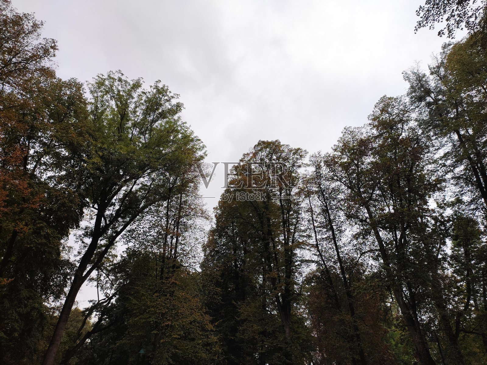 秋季的绝美自然风光照片摄影图片