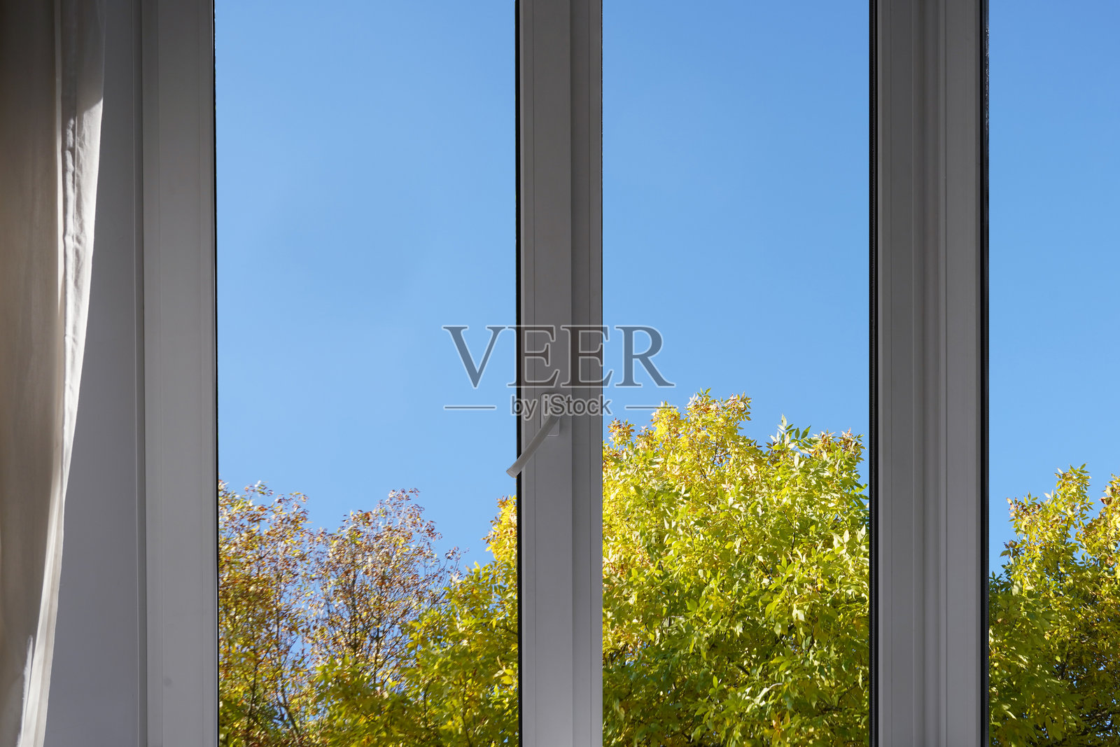 窗外公园的景色，花园里的黄色秋树。照片摄影图片