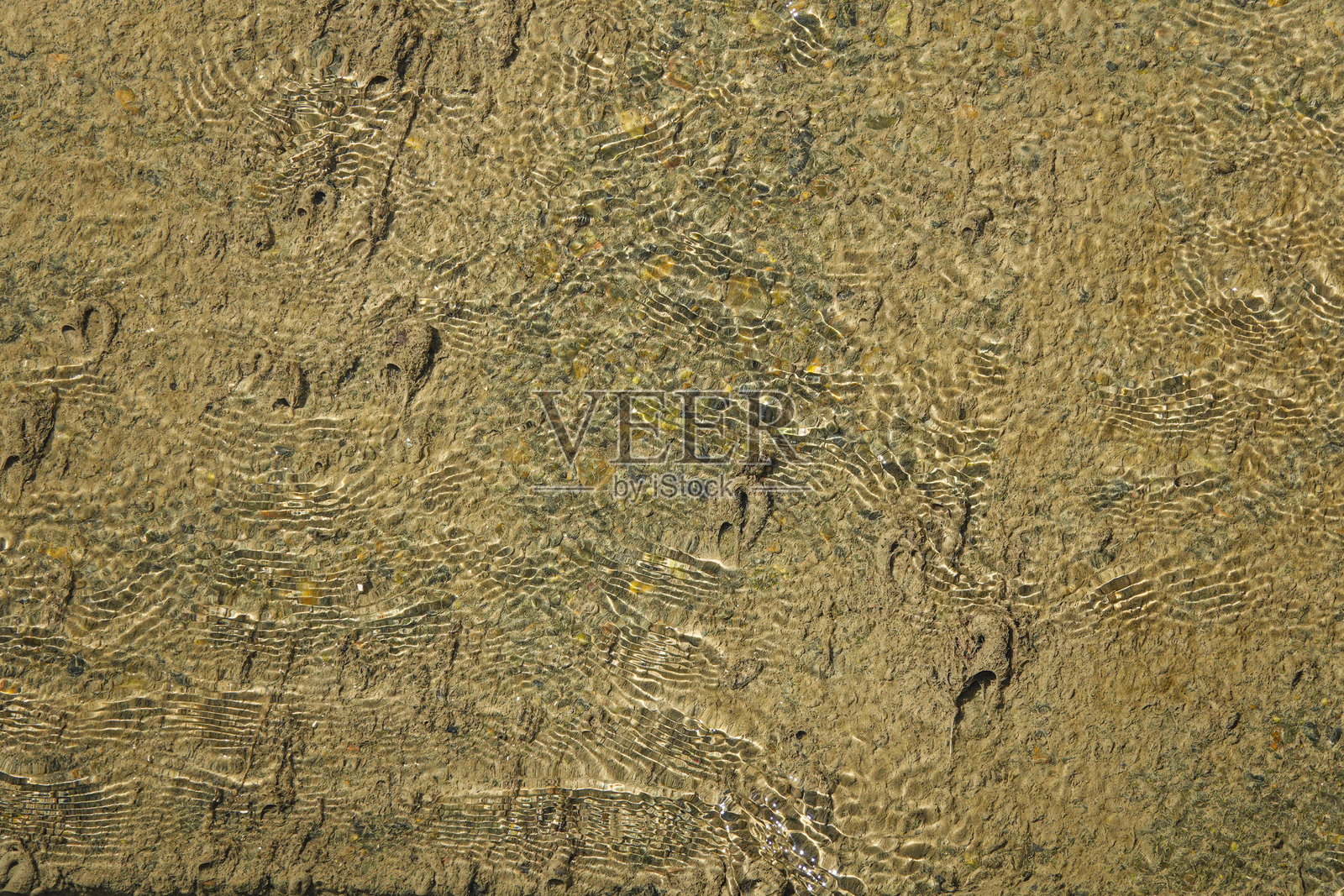 阳光下，浅水轻轻流过带有涟漪的沙质河床。照片摄影图片