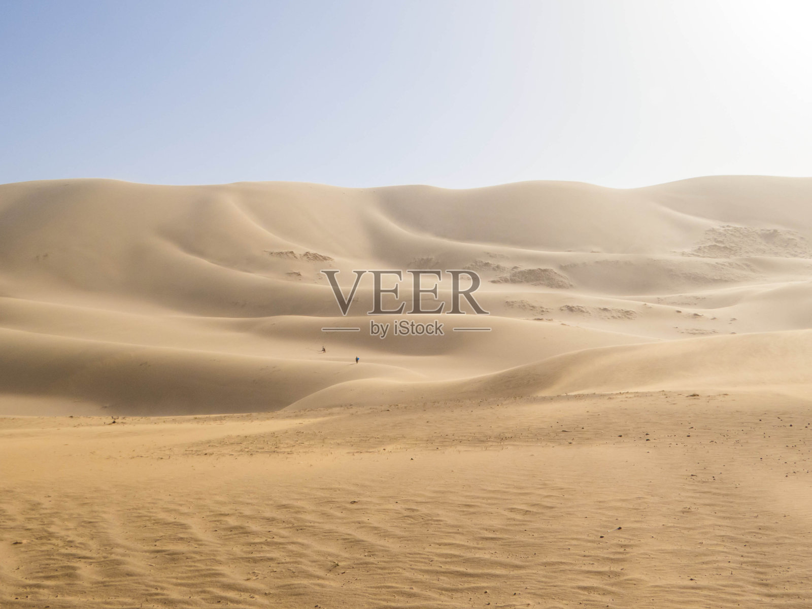 洪戈里沙丘，戈壁沙漠，蒙古照片摄影图片