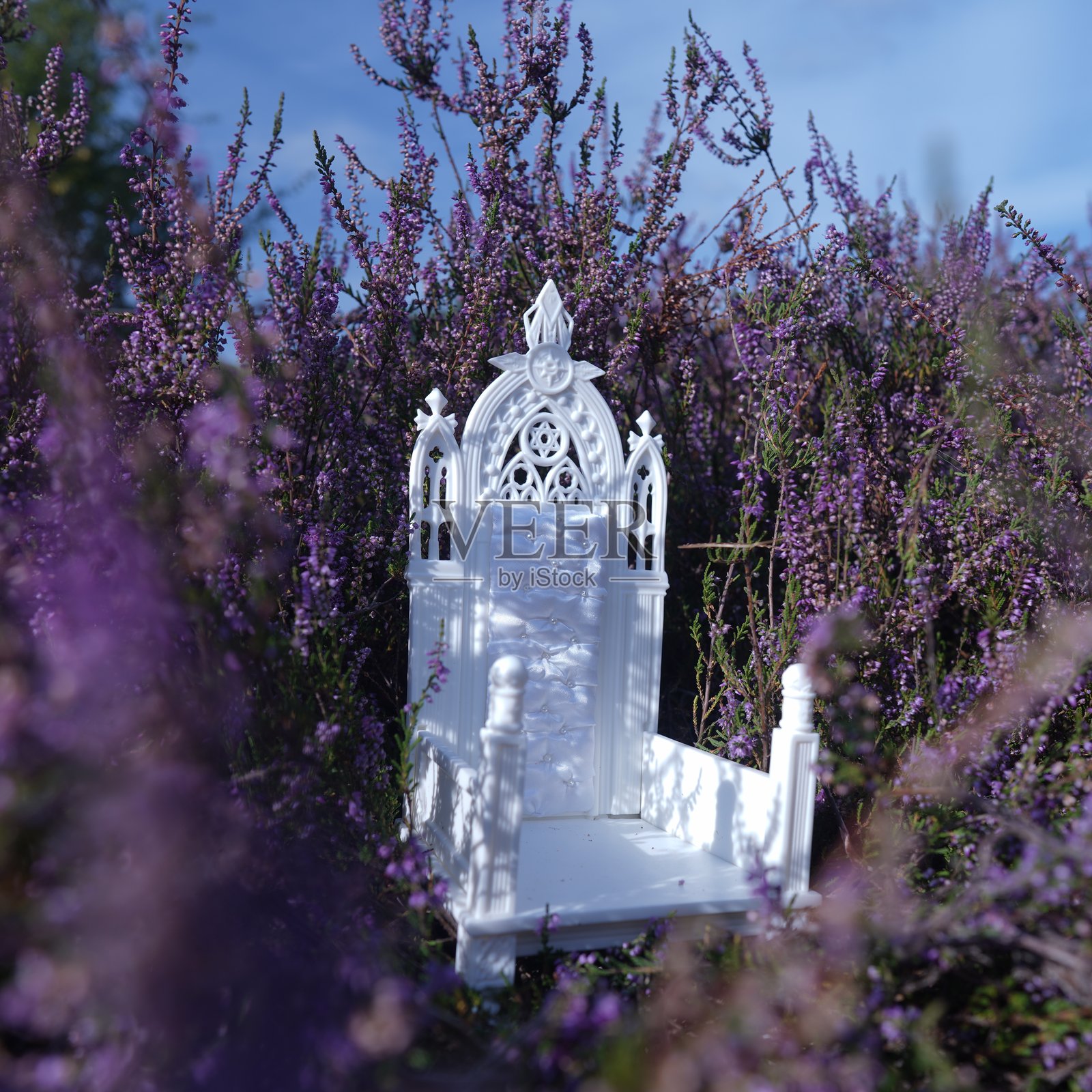 薰衣草田中央的白色歌特式椅子照片摄影图片