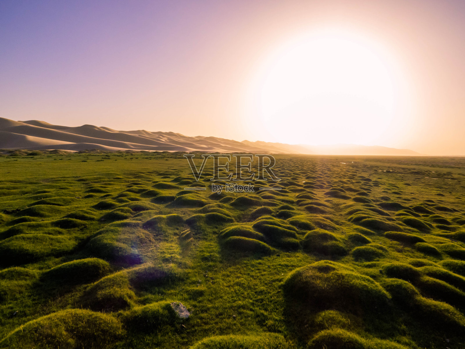 洪戈尔沙丘，戈壁沙漠，蒙古照片摄影图片