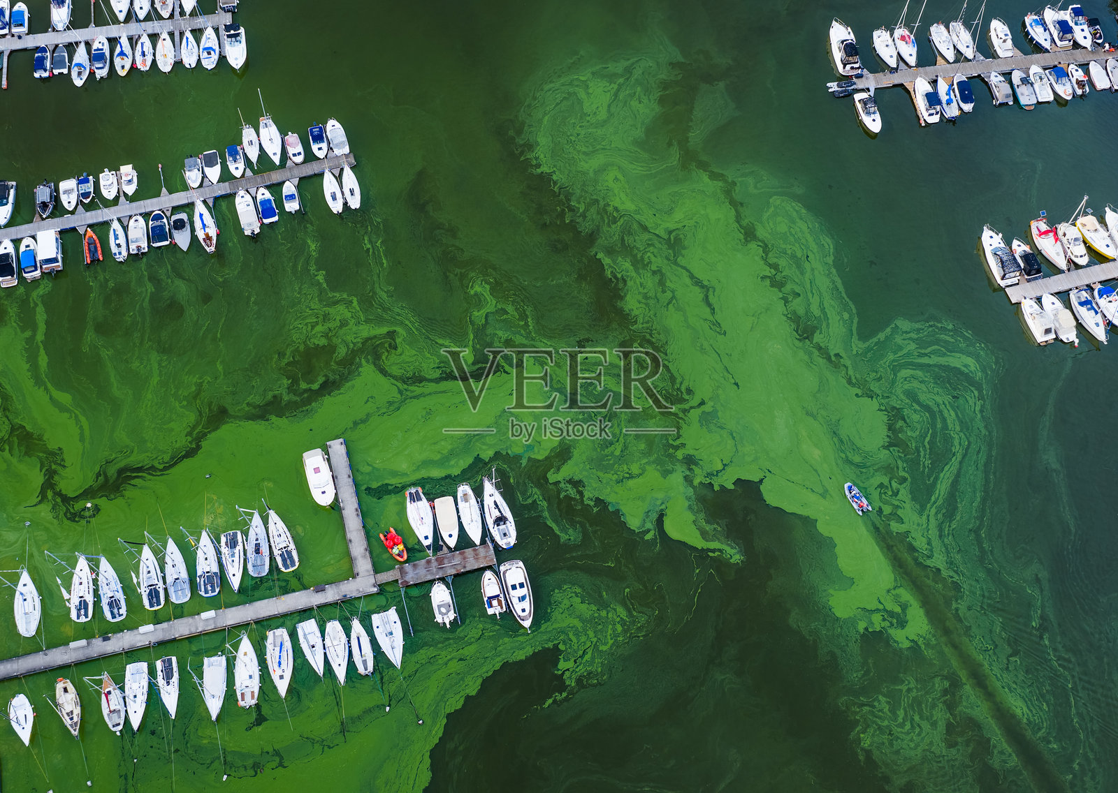 考纳斯游艇俱乐部和水华照片摄影图片