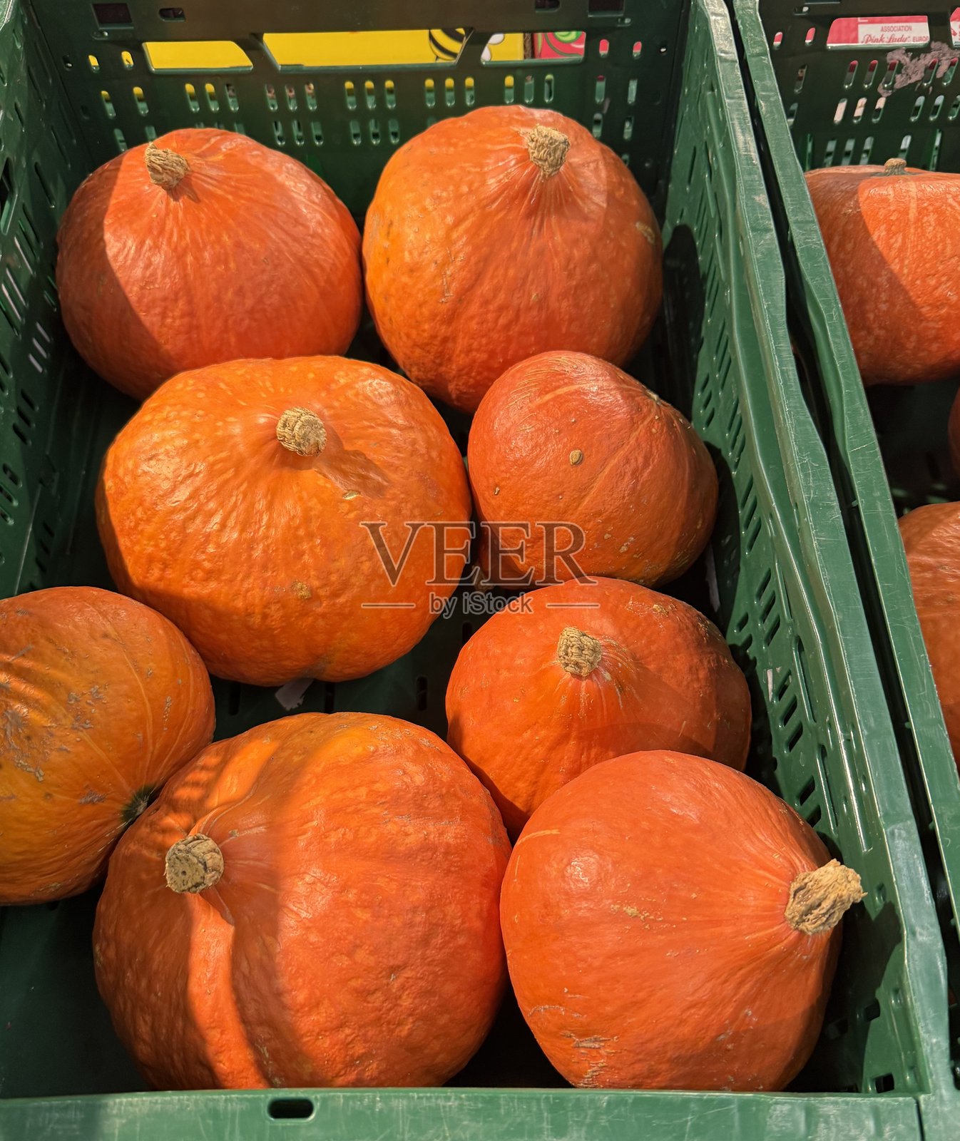 绿箱子里的北海道南瓜照片摄影图片