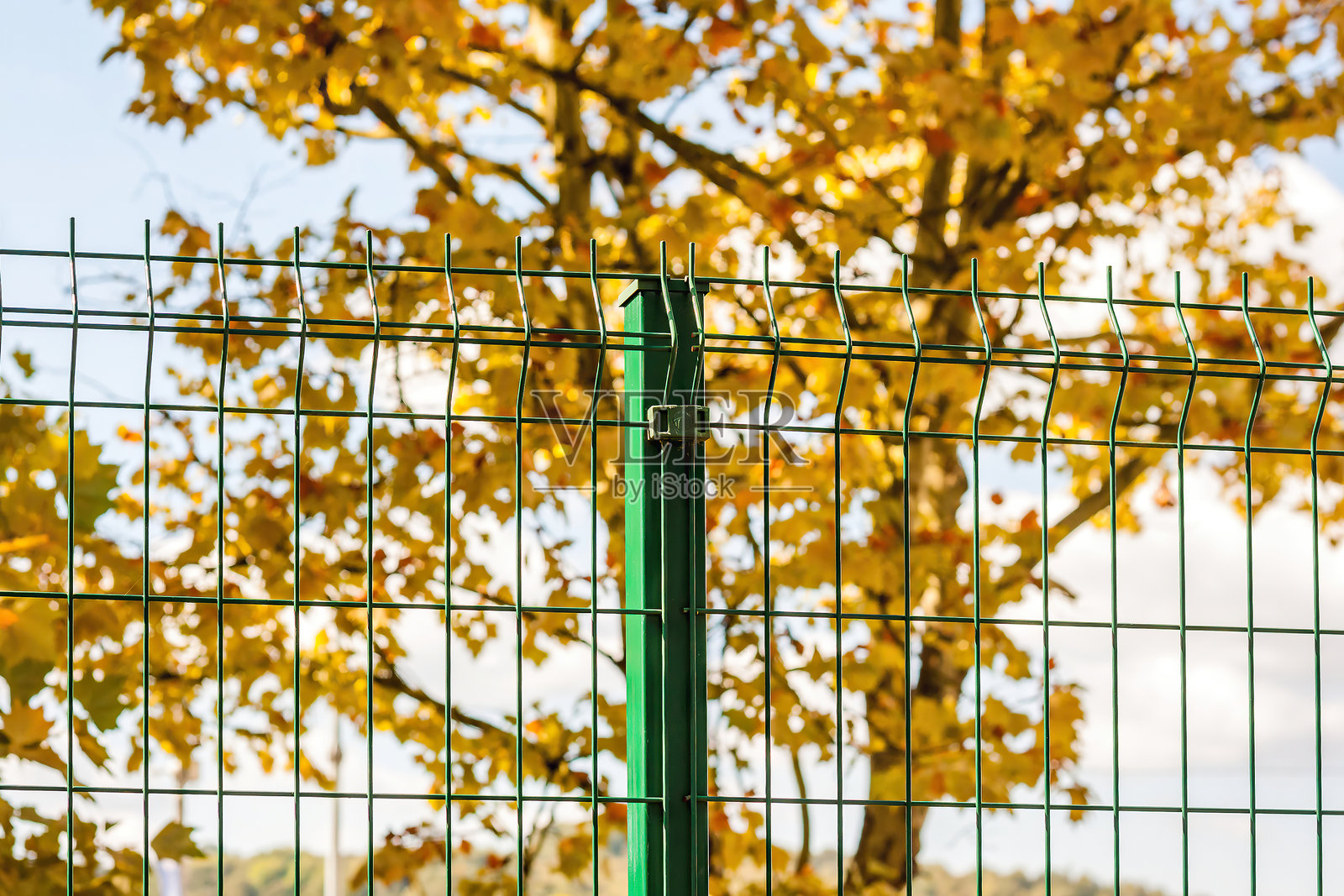 木板围栏照片摄影图片