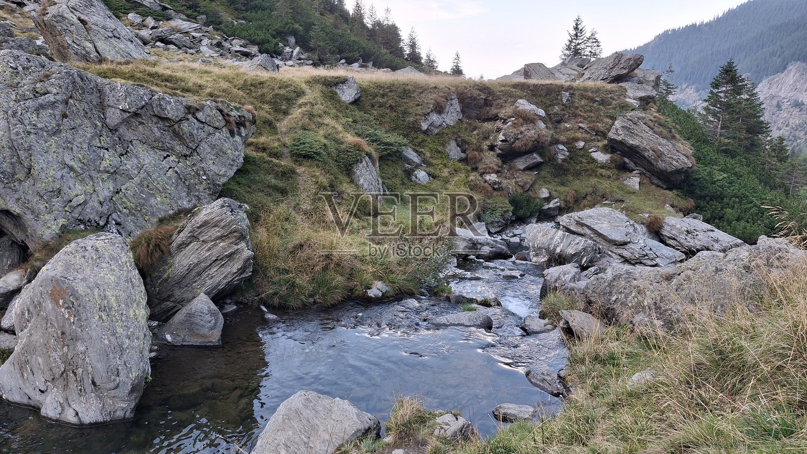 罗马尼亚喀尔巴阡山脉中，岩石嶙峋、清澈的山间河流。照片摄影图片