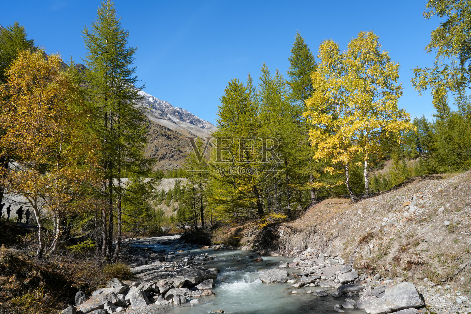 风景如画，宁静的河流穿过色彩鲜艳的森林，秋叶斑斓，雄伟的山脉在湛蓝的天空下，展现了大自然的壮丽美景。照片摄影图片