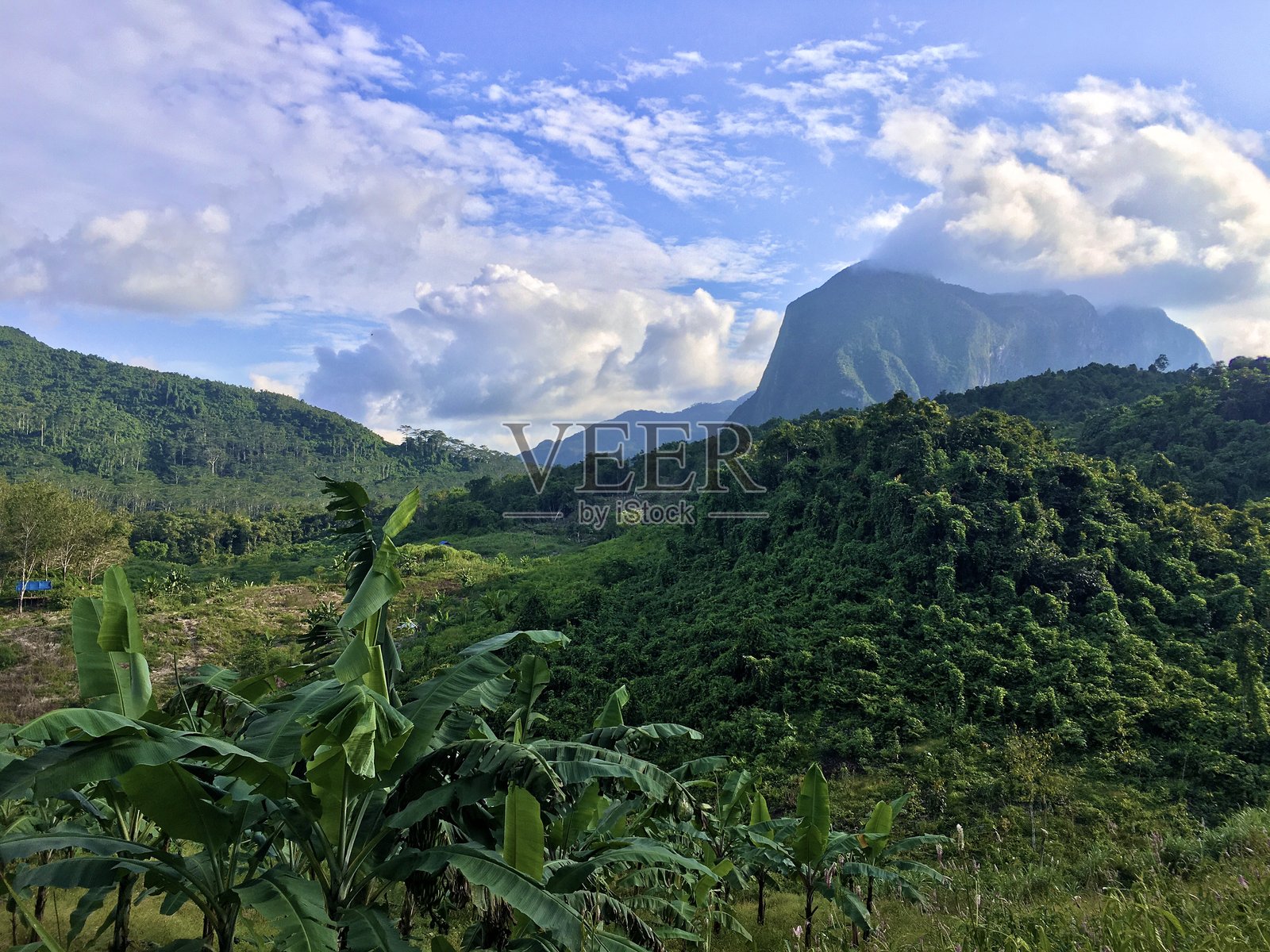 印度尼西亚婆罗洲热带雨林默拉图斯山脉的喀斯特山丘。照片摄影图片