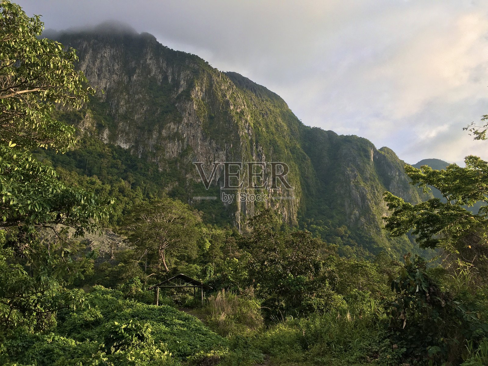 印度尼西亚婆罗洲热带雨林默拉图斯山脉的喀斯特山丘。照片摄影图片