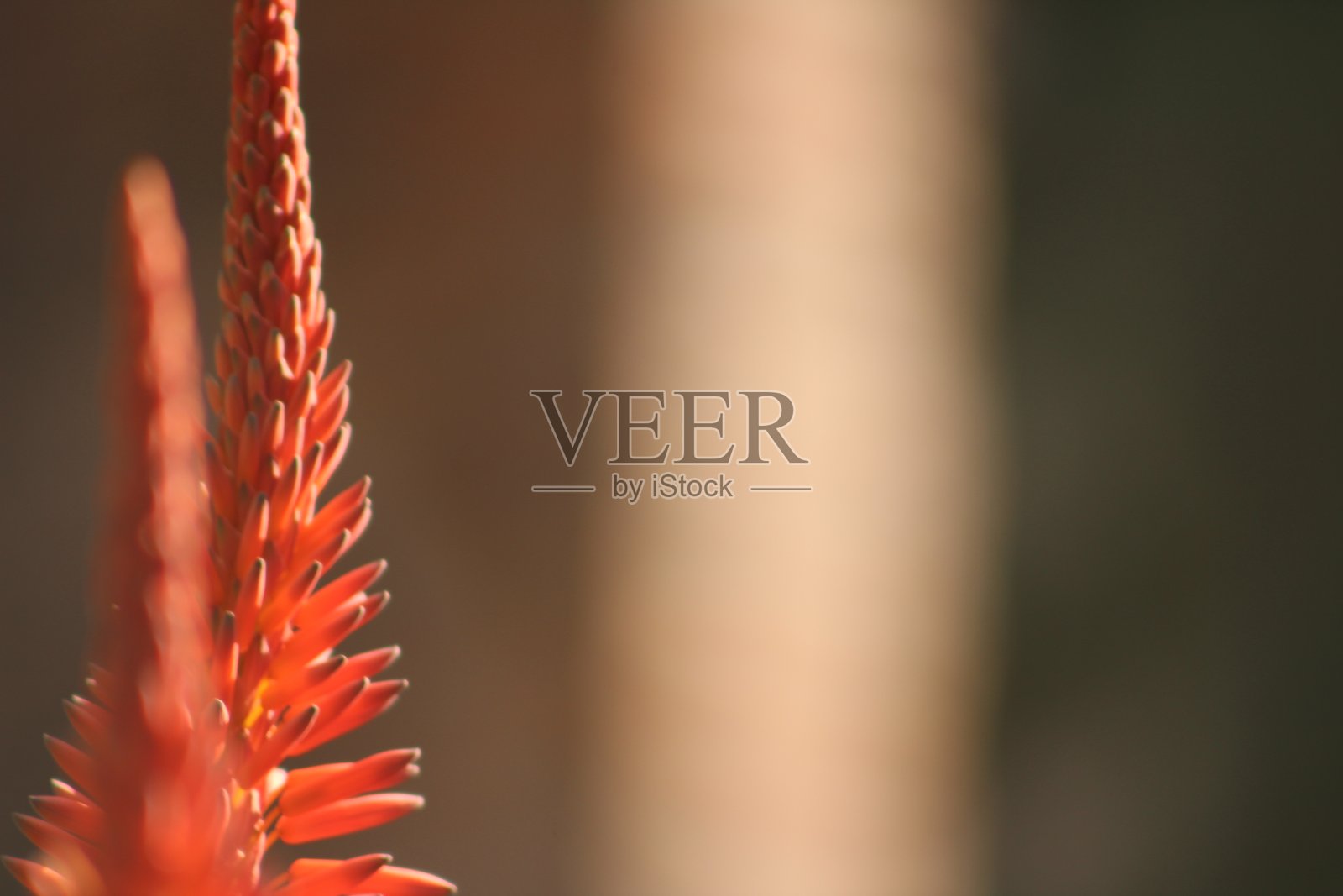 阿根廷自然风光，圣伊西德罗 3照片摄影图片