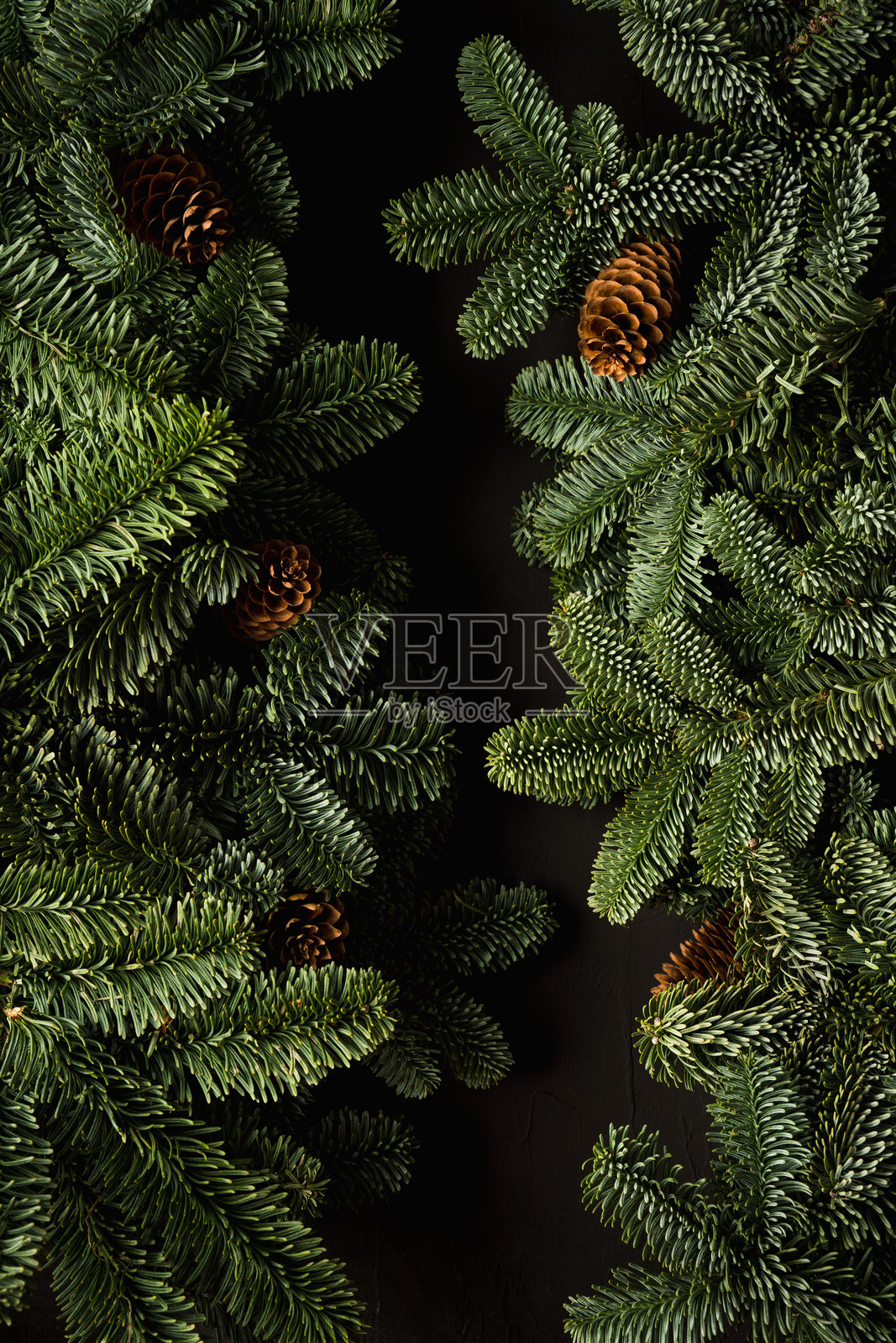 黑底松枝松果画框照片摄影图片