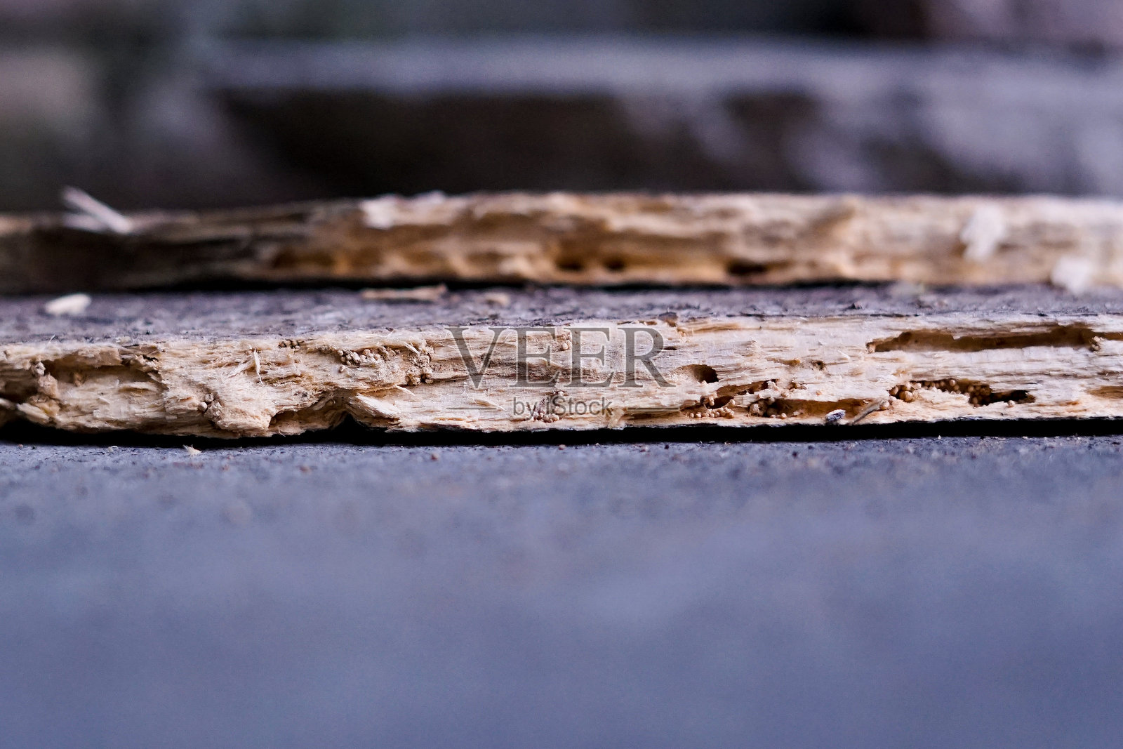 干枯木纹抽象照片摄影图片