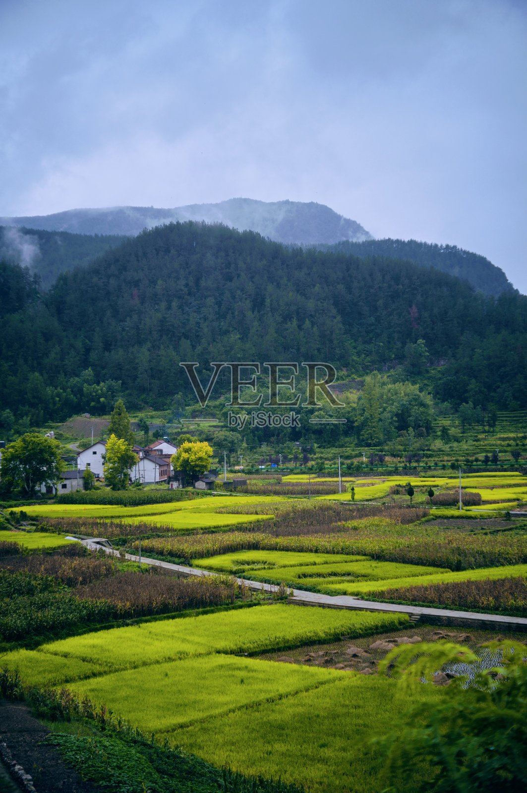 扬子江发源于照片摄影图片
