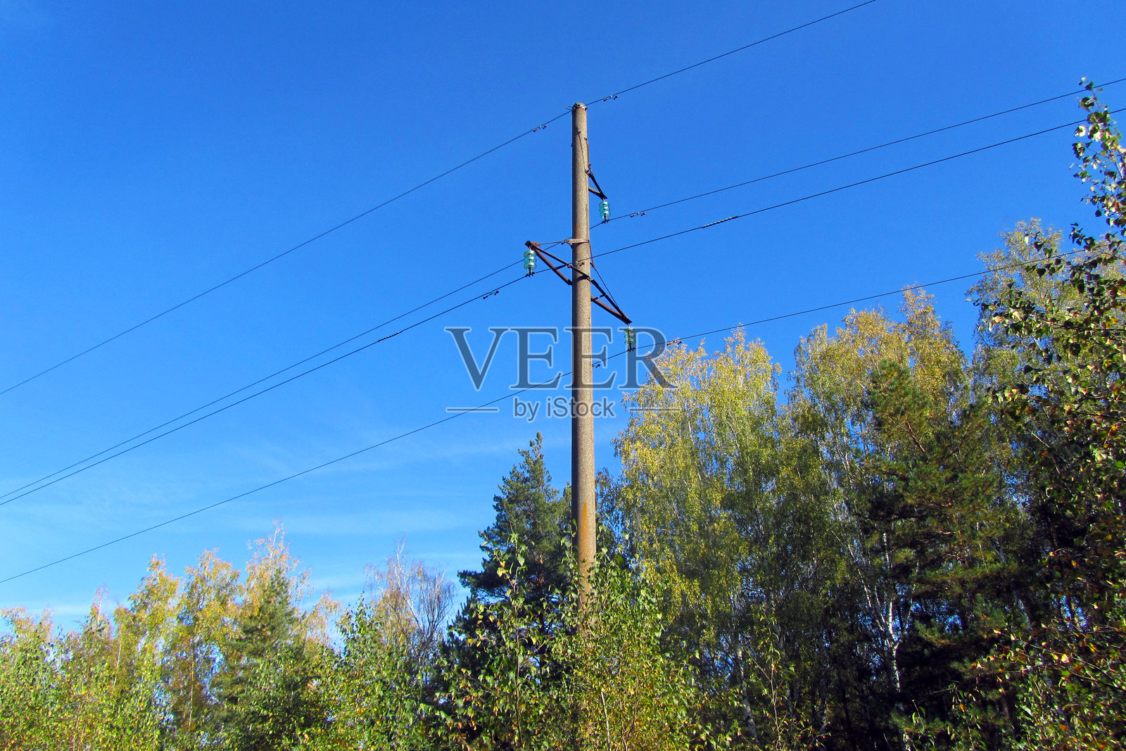 蓝天白云下，电力线和电线杆，旁边有树木。照片摄影图片