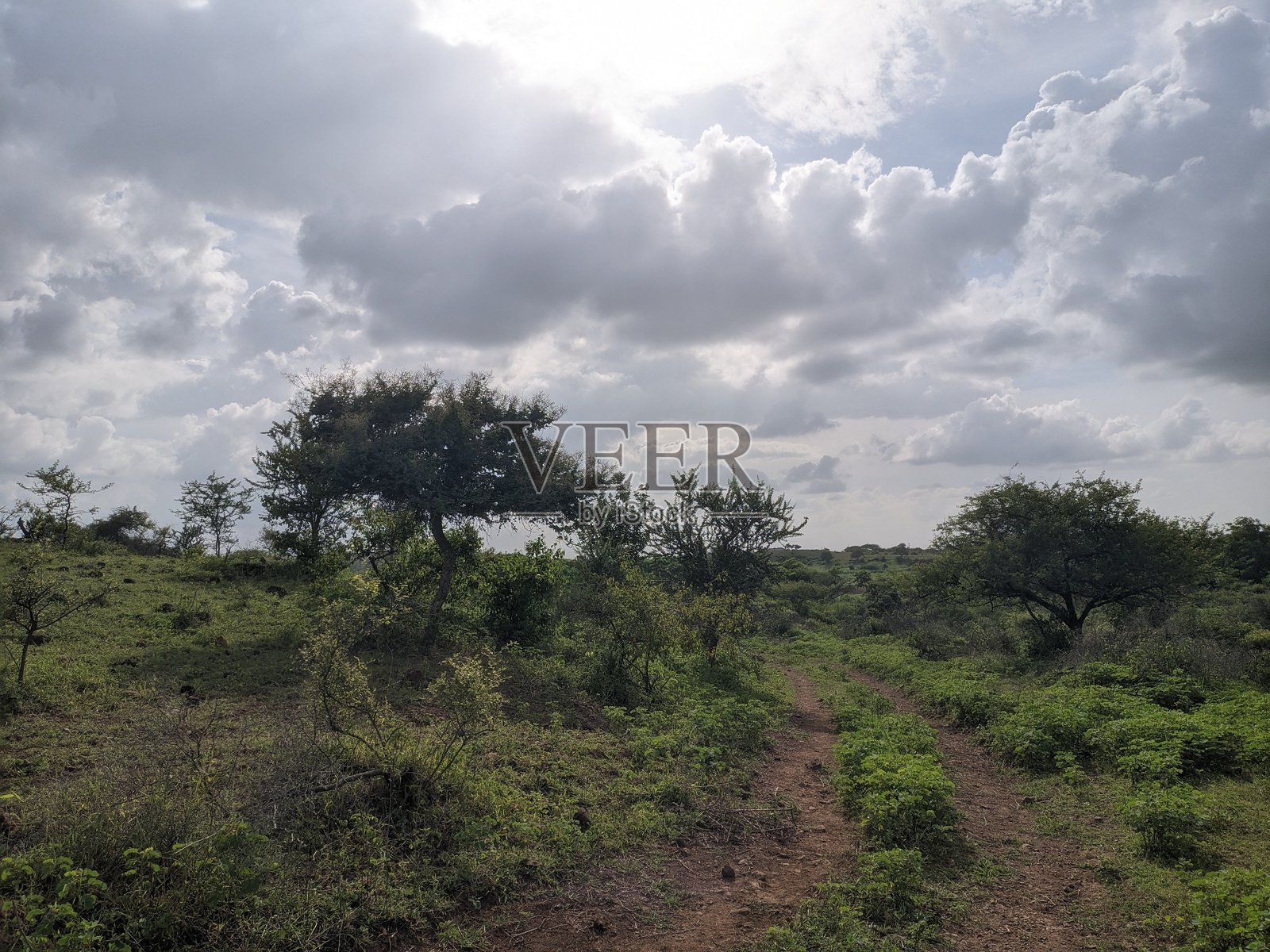 阴天下的乡村小路风景照片摄影图片