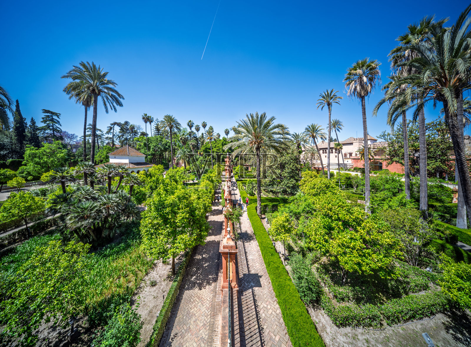 探索西班牙塞维利亚皇家阿尔卡萨尔的繁茂花园照片摄影图片