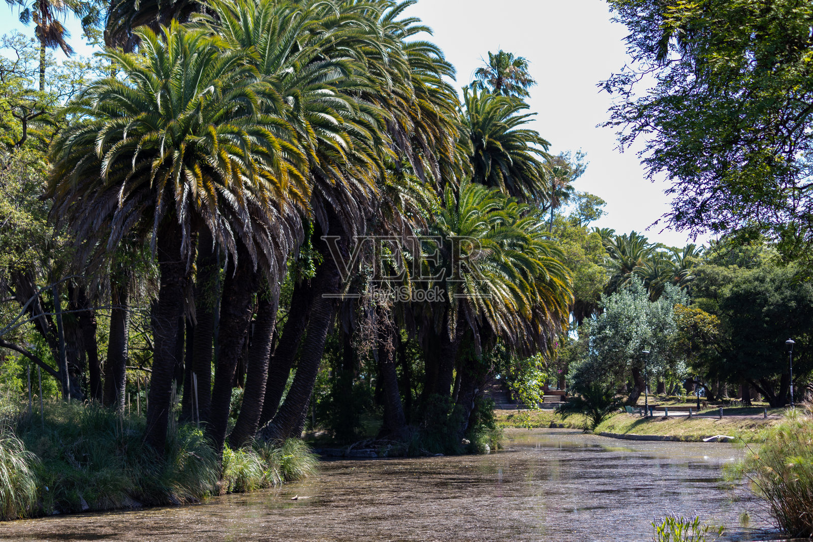 在乌拉圭蒙得维的亚Rodó公园愉快的散步。照片摄影图片