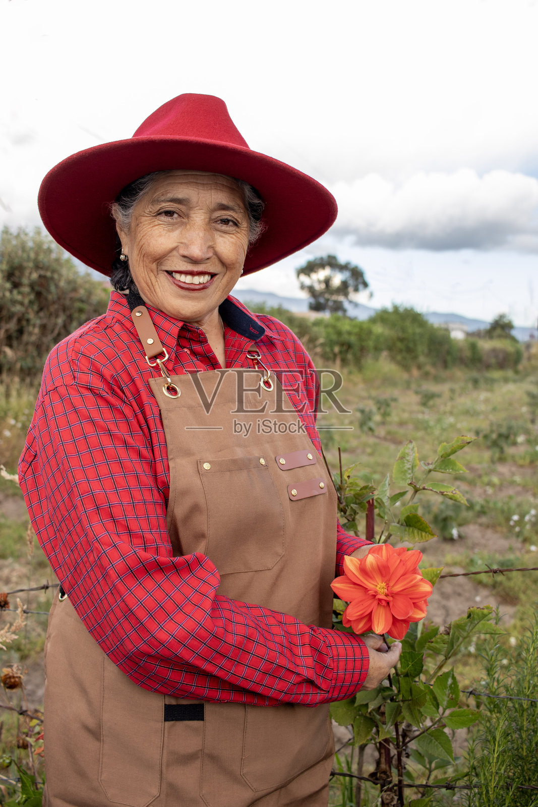 一位戴着红帽子的年长女农民，手持金色浆果花，在农业环境中温暖地微笑。照片摄影图片