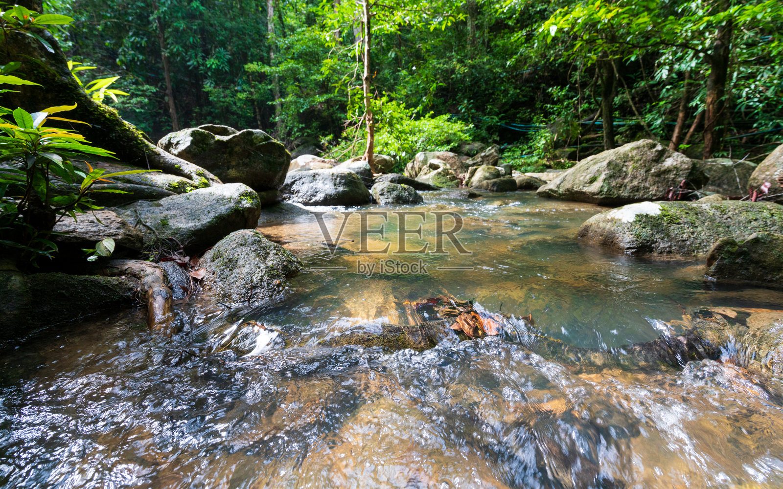 长满苔藓的石头上流淌着清澈的森林溪流和小型瀑布照片摄影图片