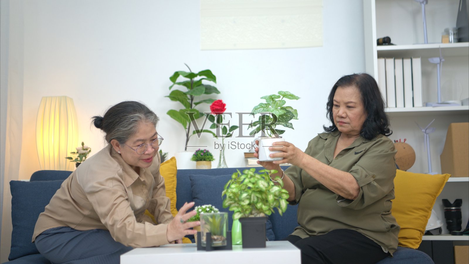 快乐的节日里，几位年长的朋友在家中放松，在客厅里帮忙种植和装饰盆栽。照片摄影图片