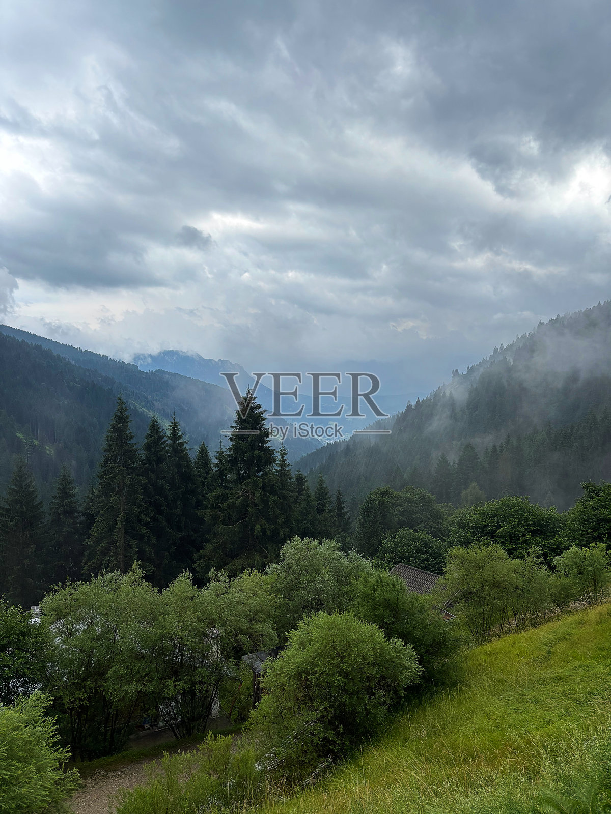 雾气缭绕的山地景观，密林丛生照片摄影图片