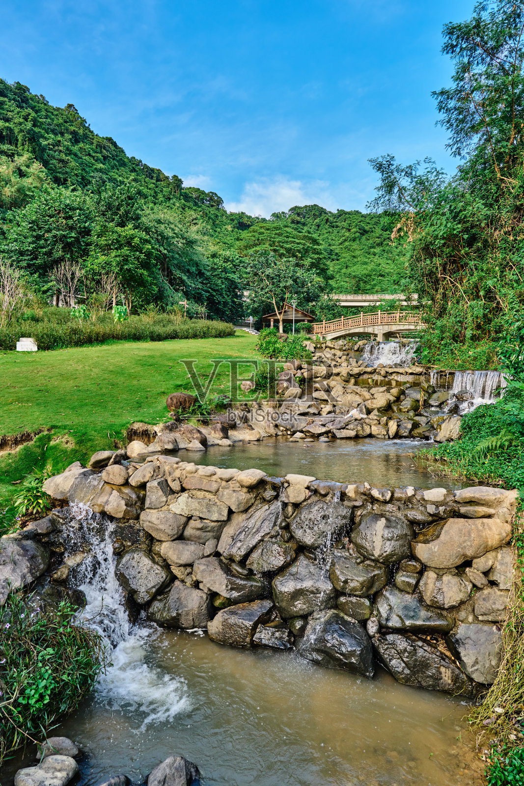 热带地区的小溪照片摄影图片