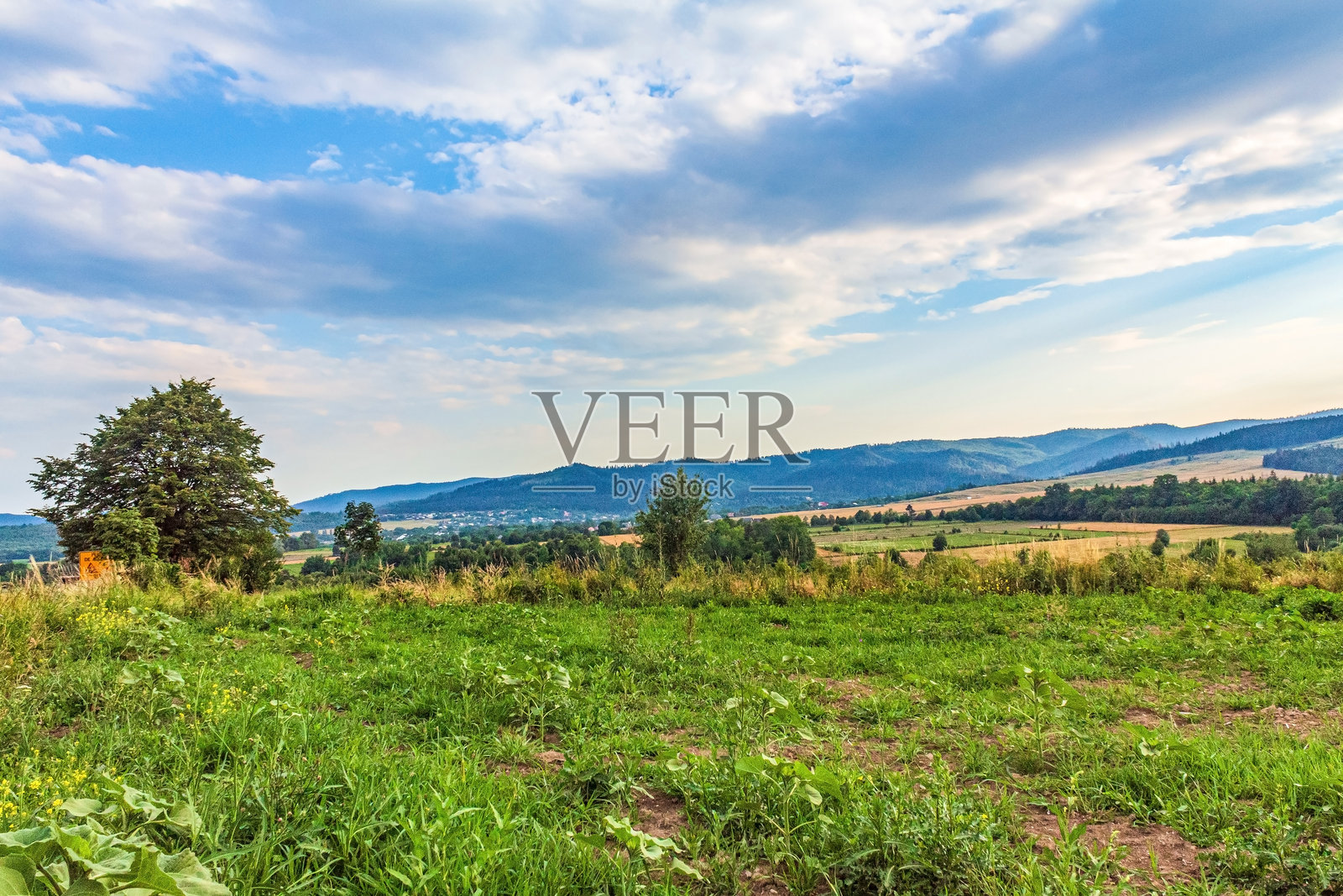 自然风光，森林，喀尔巴阡山脉，欧洲自然风光照片，东欧照片摄影图片