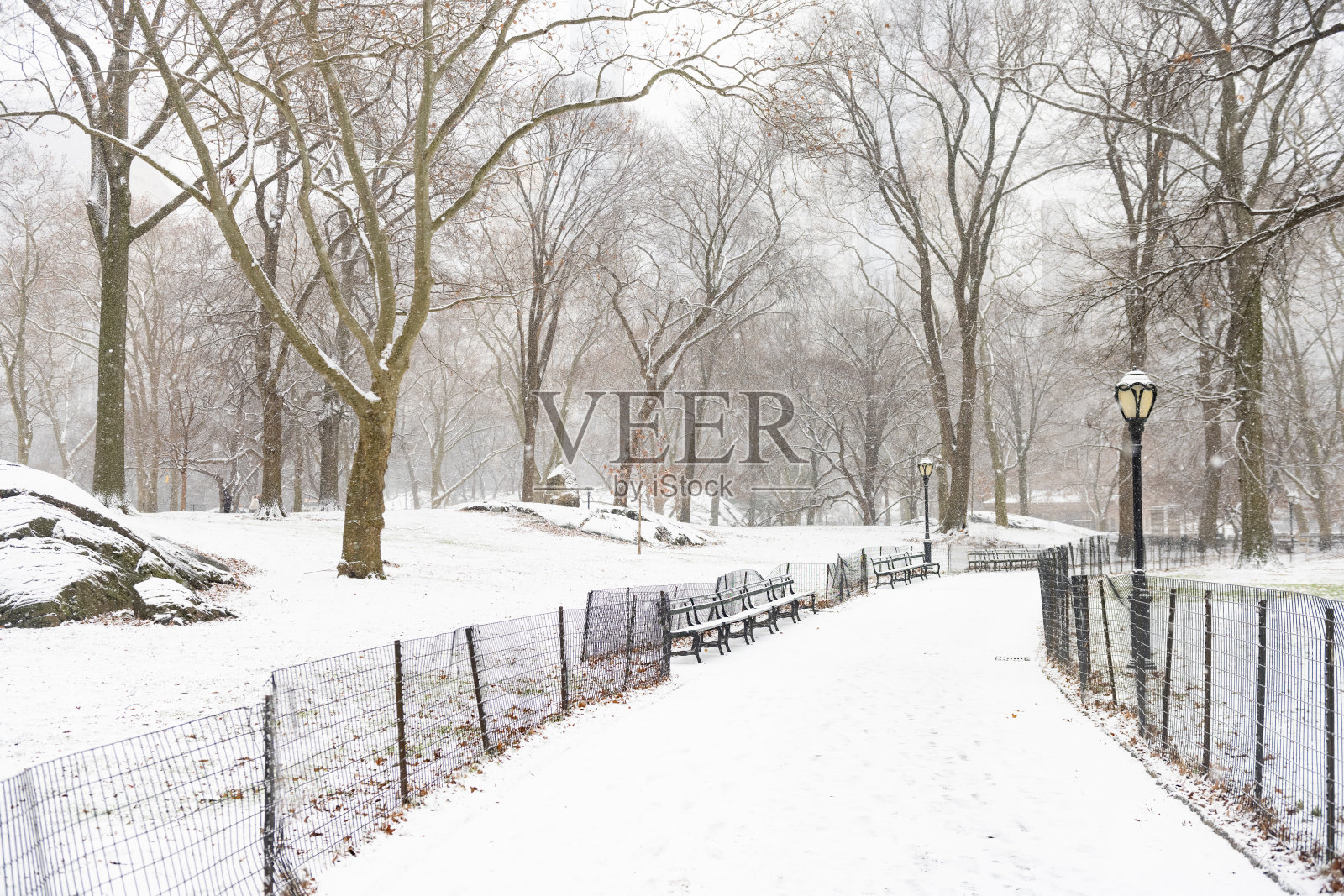 纽约冬季晴日，中央公园被雪覆盖的步行道照片摄影图片