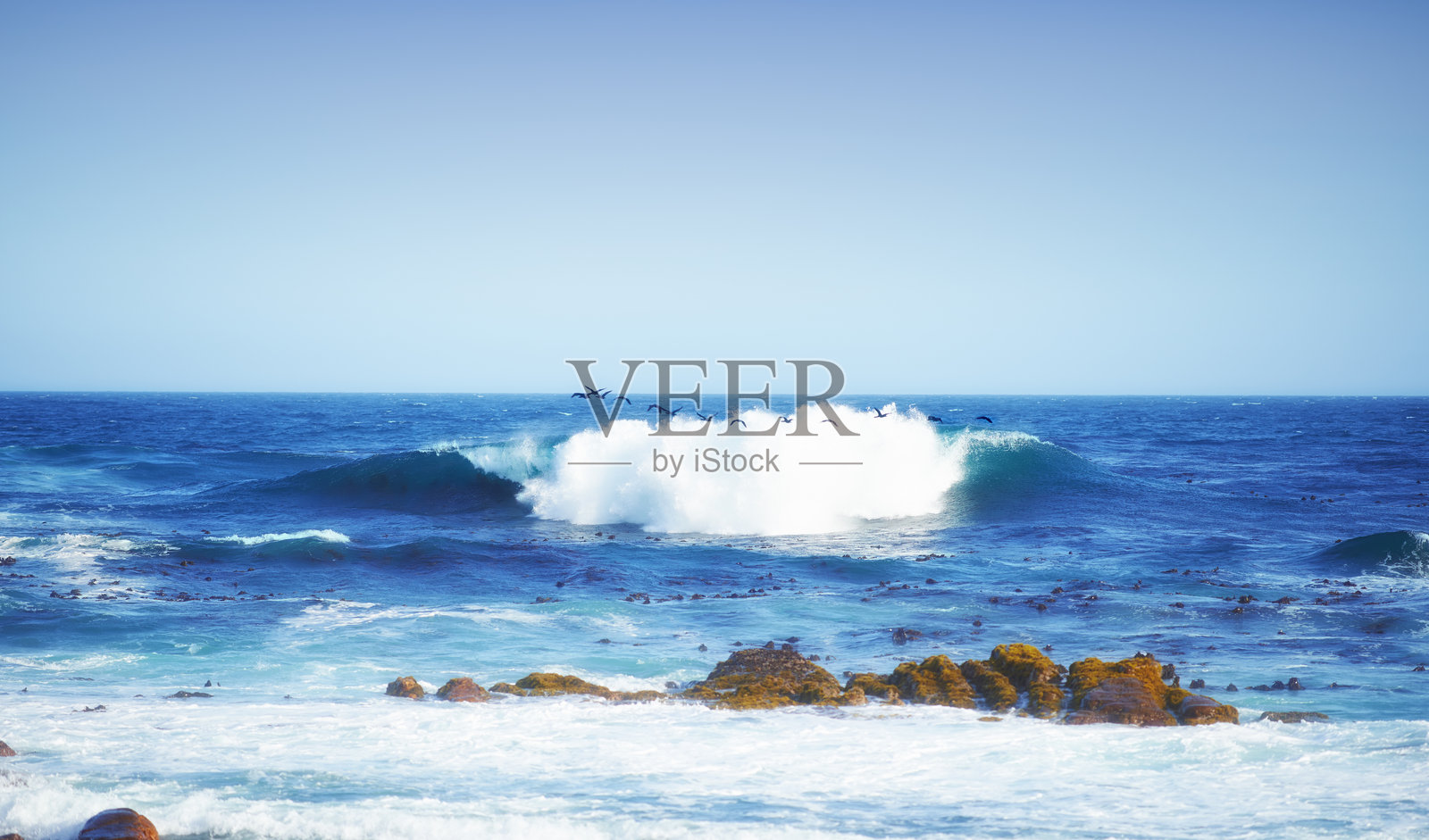 美丽的海浪拍打着岩石海岸，海鸟在马略卡岛原始的海岸风光中翱翔照片摄影图片