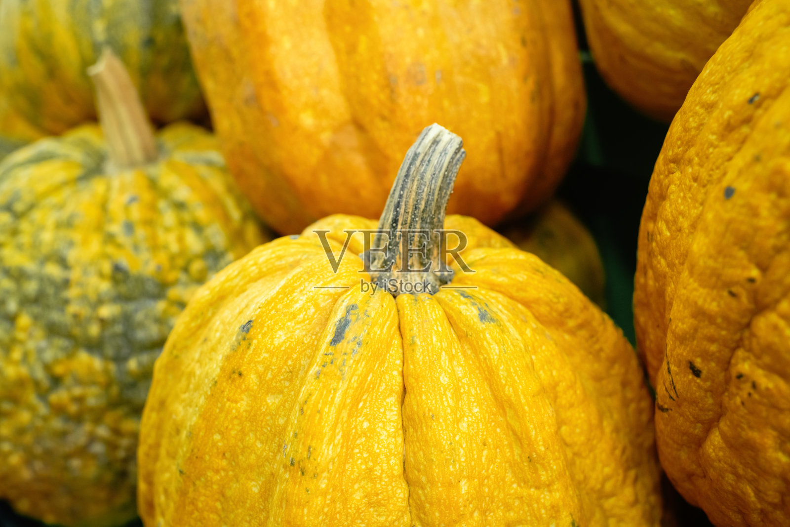 市场上的南瓜照片摄影图片