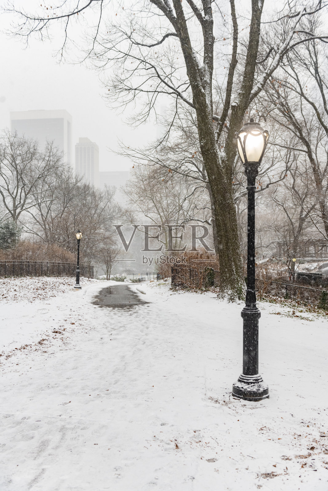 雪天冬日中央公园的路灯照片摄影图片