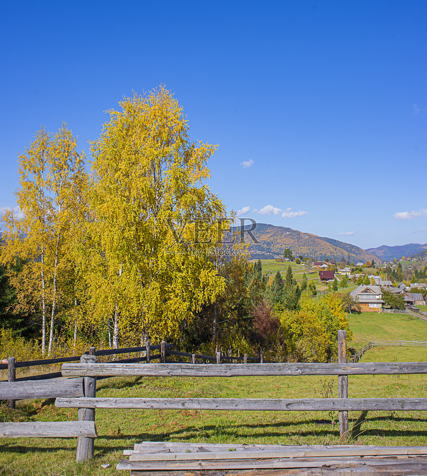 秋日山间色彩斑斓，黄橙树叶层林尽染照片摄影图片
