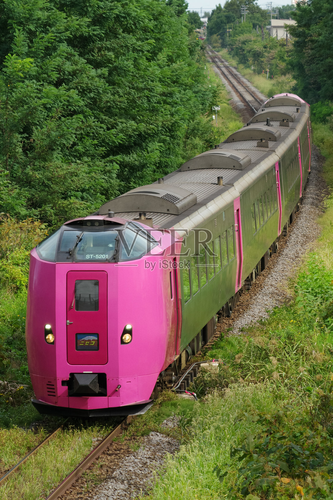 KIHA 261 Hamanasu号列车“二世谷”号特急列车在函馆线上运行照片摄影图片