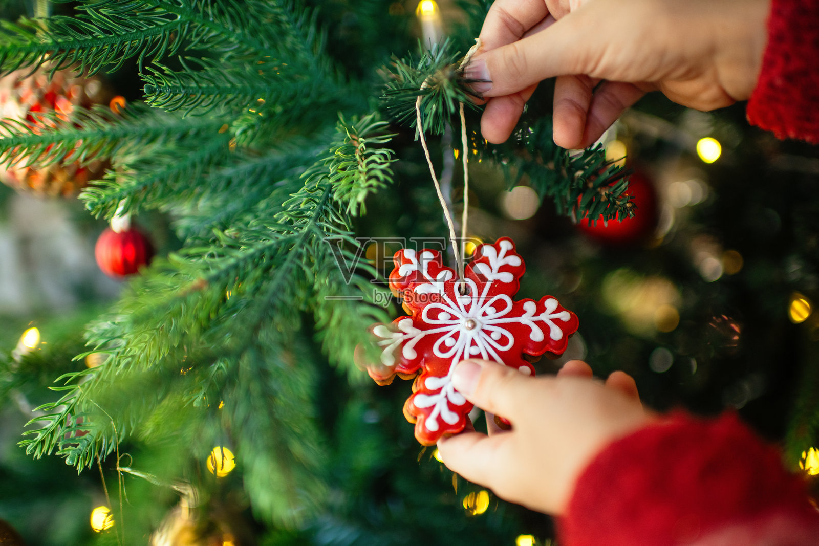 孩子用姜饼装饰圣诞树照片摄影图片