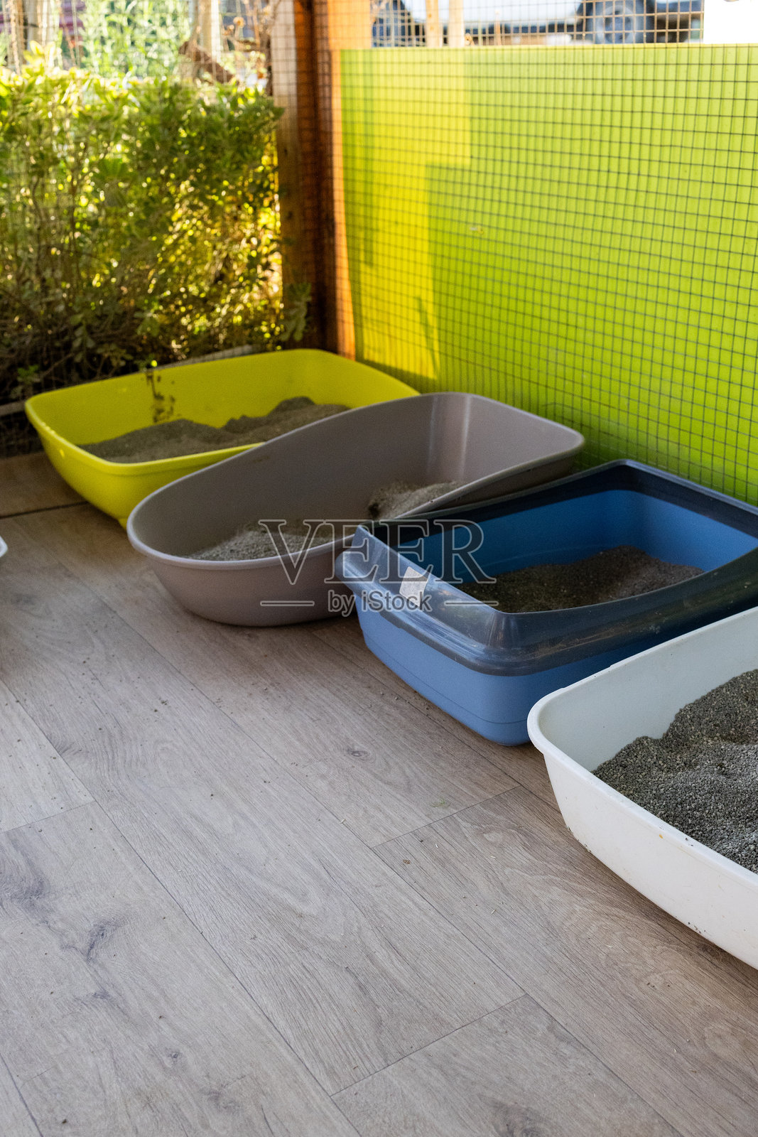 动物收容所里的多个猫砂盆照片摄影图片