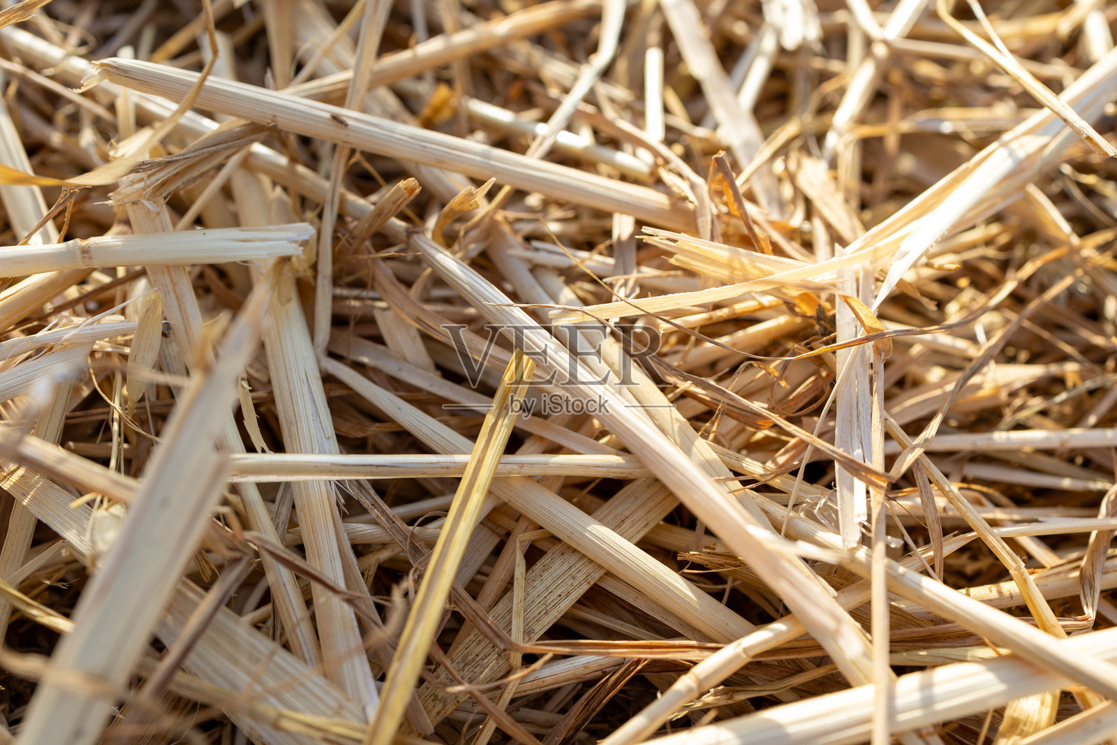 阳光下干草的特写纹理照片摄影图片