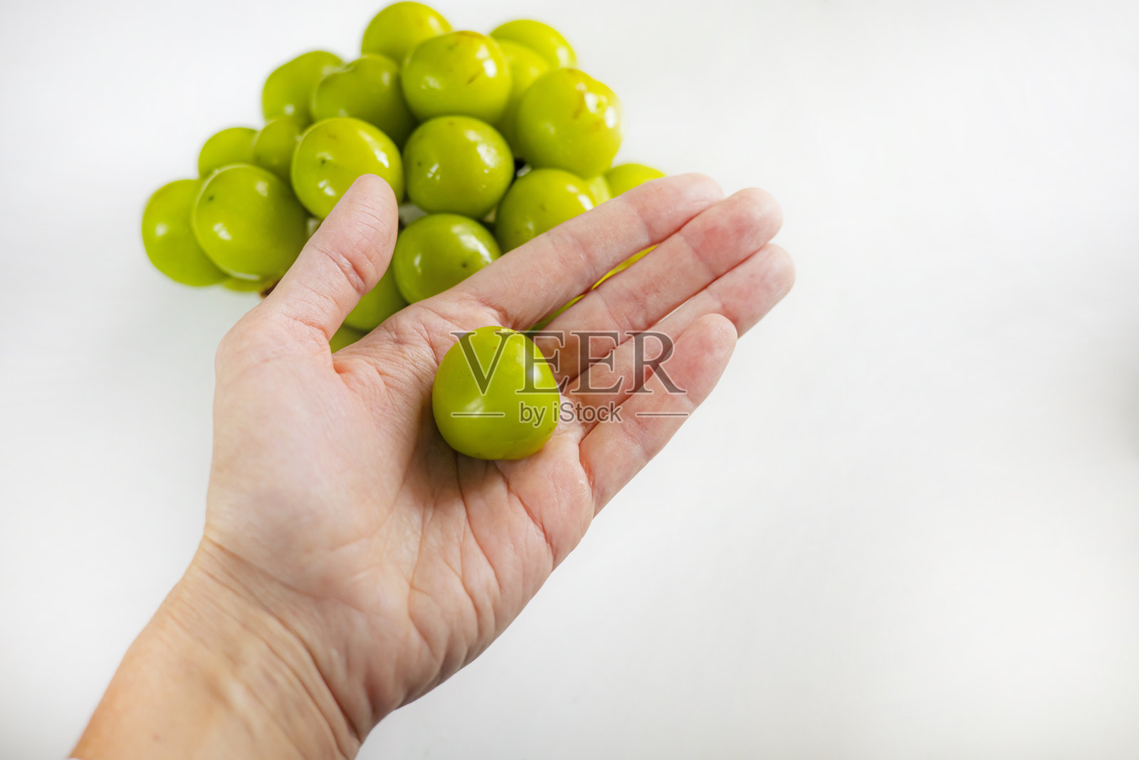 特写：手中闪耀的麝香葡萄，新鲜翠绿。照片摄影图片