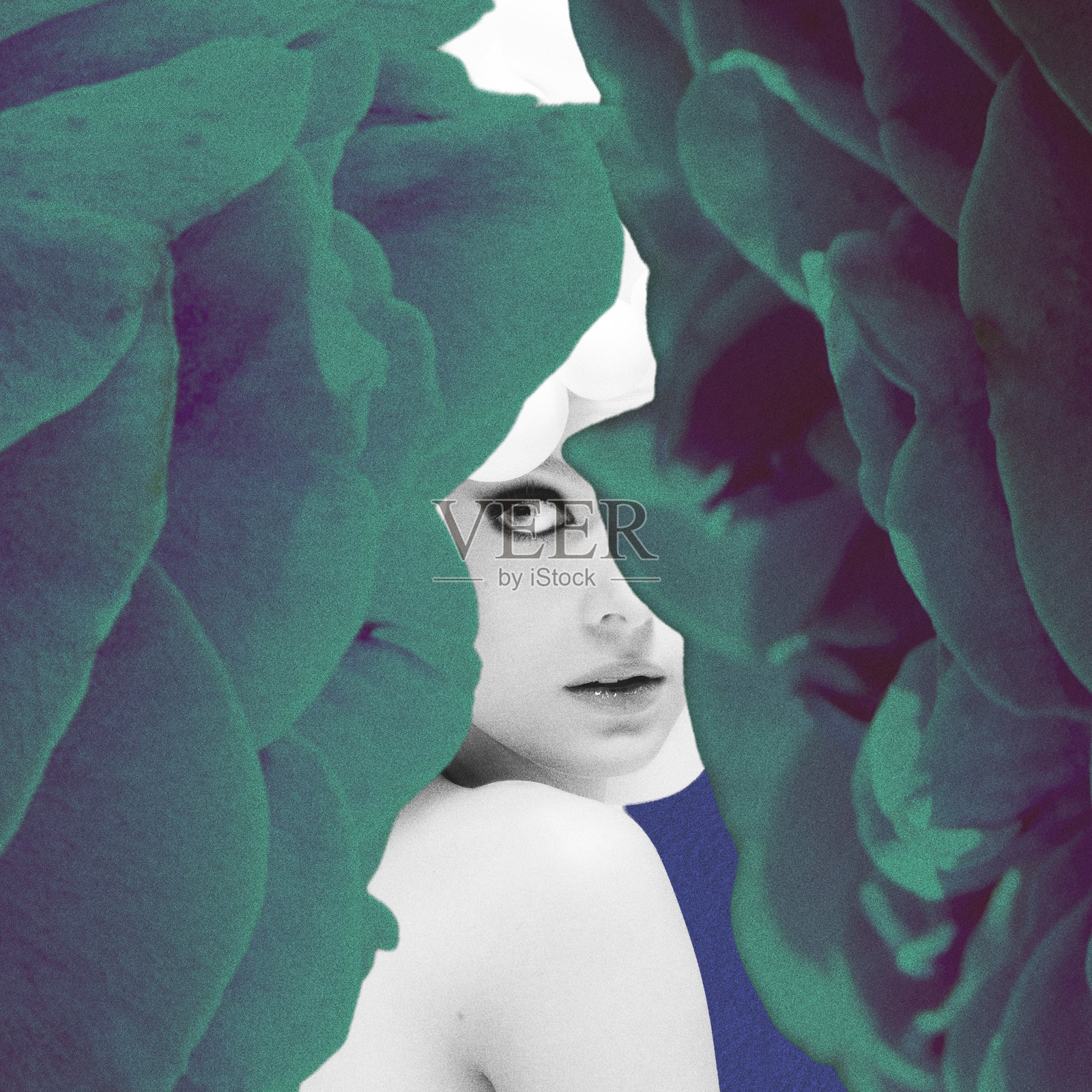 女人脸部与花朵盛开的拼贴画照片摄影图片