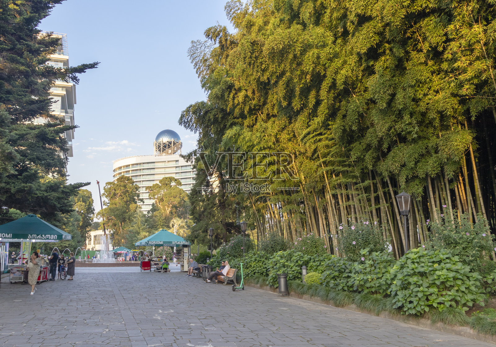 格鲁吉亚巴统 - 巴统公园和林荫大道，竹园。照片摄影图片