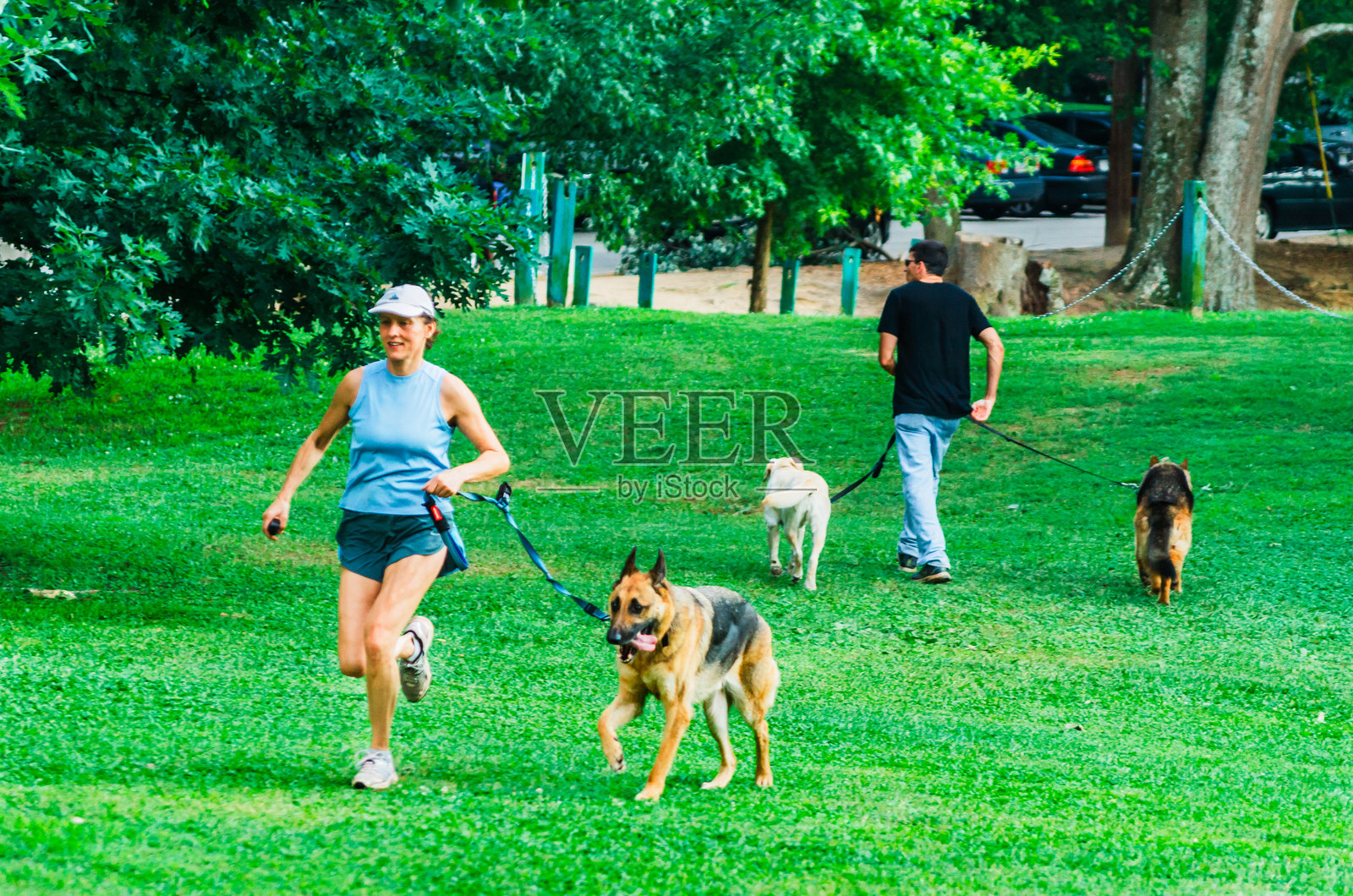 宠物主人在佐治亚州亚特兰大市的坎德勒公园遛狗照片摄影图片
