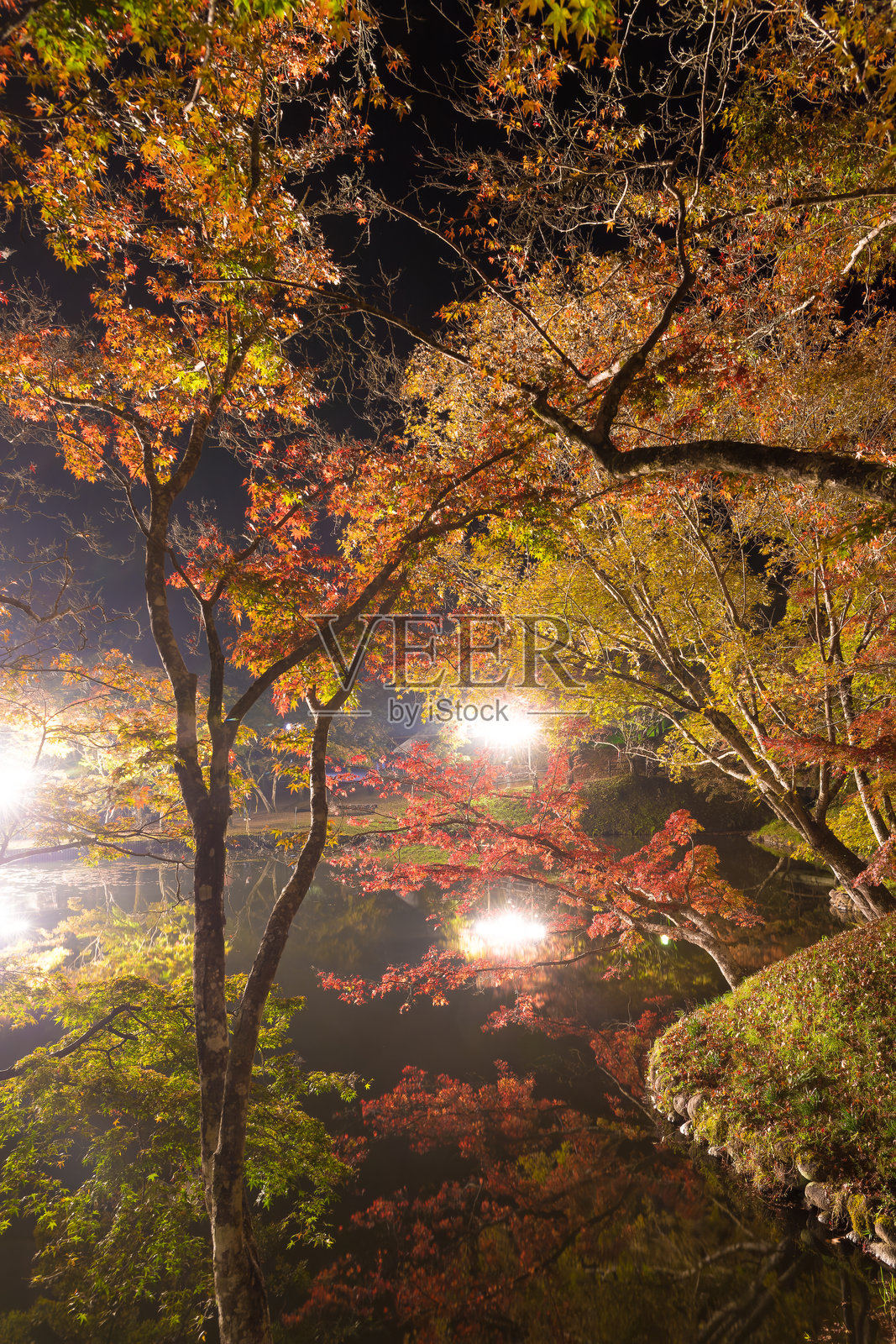 秋季尤岳公园（大分县丰后大野市）的红叶灯光秀照片摄影图片