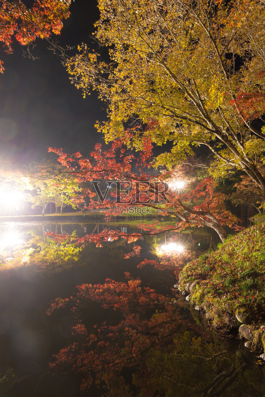 秋季的夕岳公园（大分县丰后大野市）的秋叶亮灯照片摄影图片