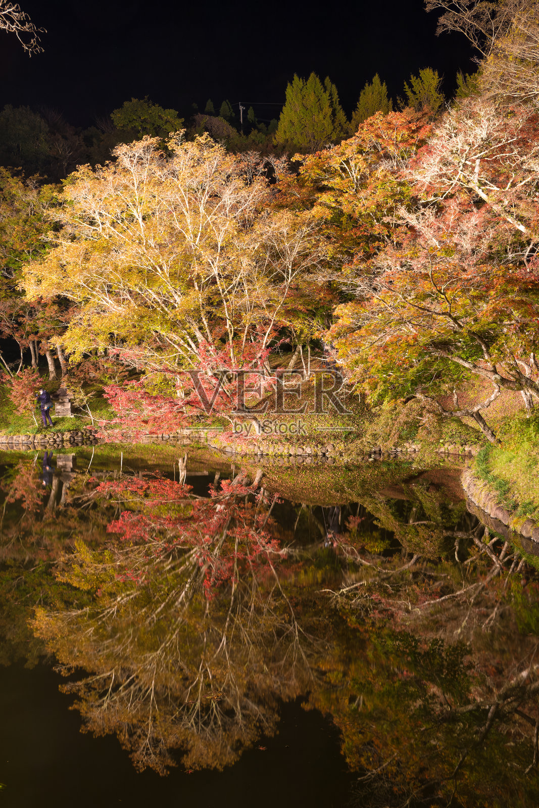 秋季的夕阳下，丰后大野市（大分县）的夕岳公园的秋叶被照亮照片摄影图片